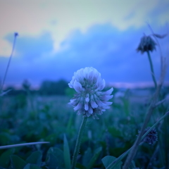 R0021075