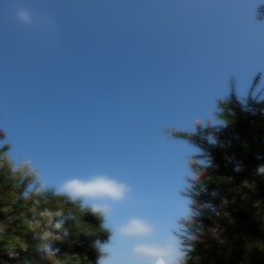 DSCF0176