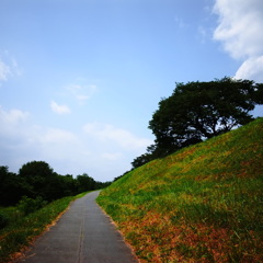 R0021377