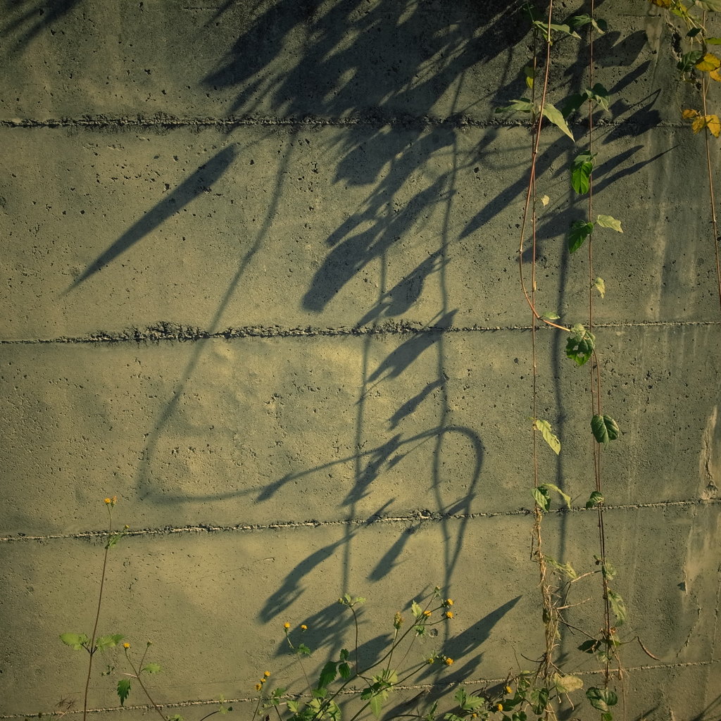 R0021851