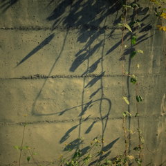 R0021851