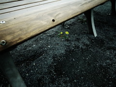 R0020515