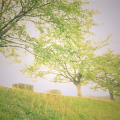 R0021713