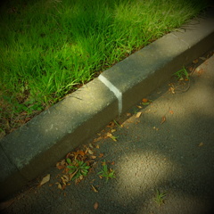 DSCF0126