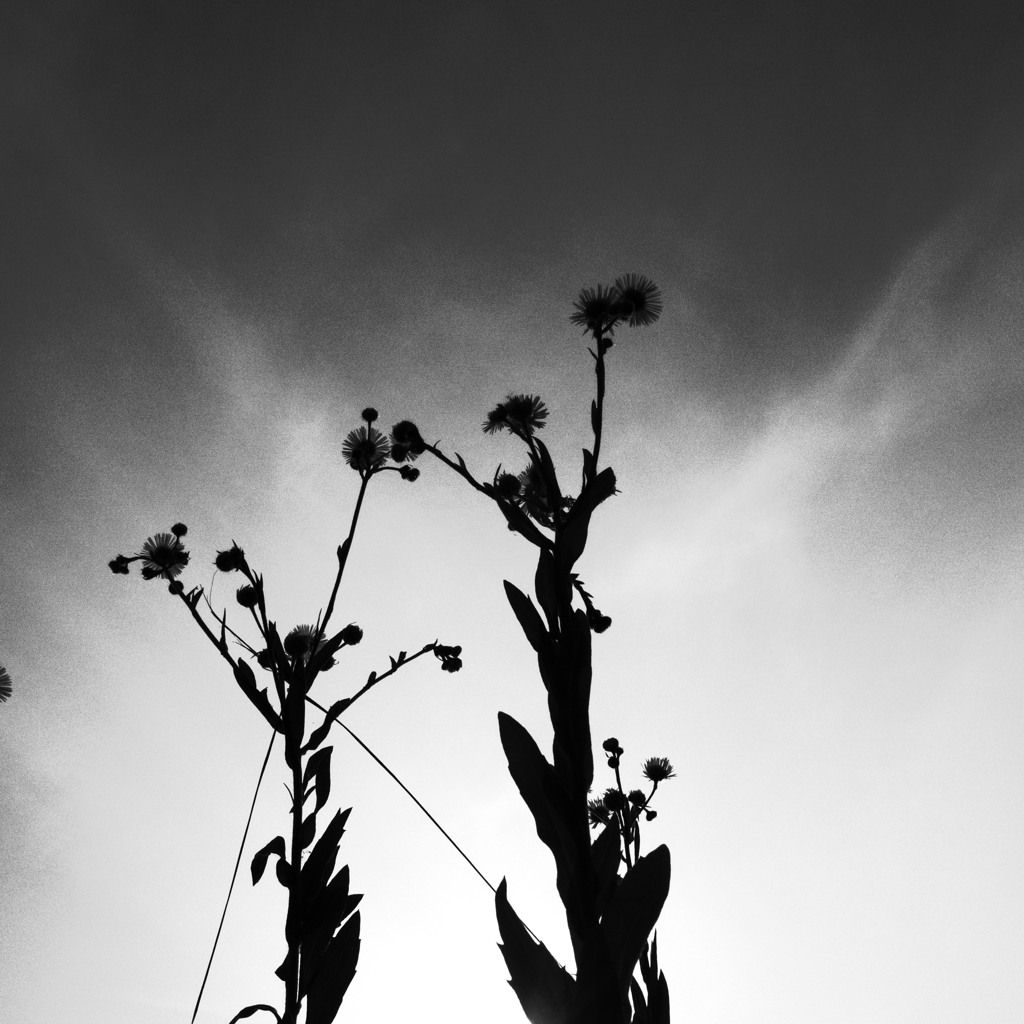 R0021236