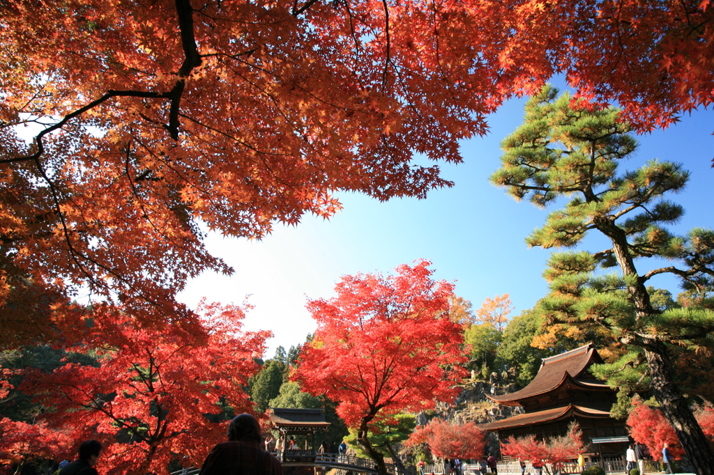 永保寺