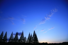 空