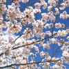 春空