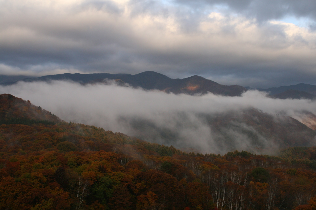 朝見たら雲海みたいなのが見えた