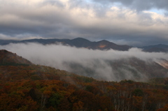 朝見たら雲海みたいなのが見えた