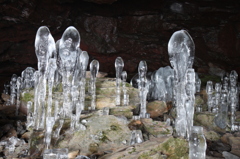 大幽洞窟の氷筍