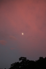 夕日と月