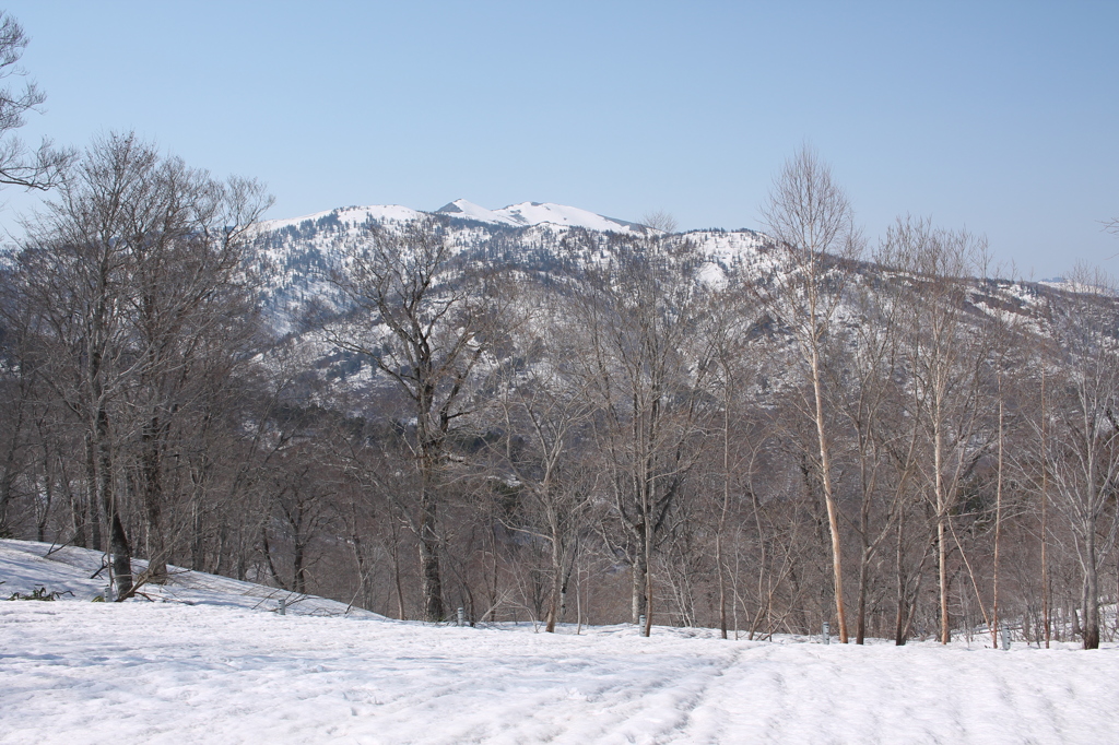 春の坤六峠から見た至仏山