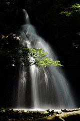 The waterfall of a mystery 