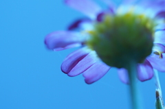 P6240658