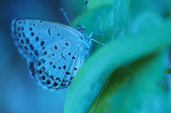 P6240656