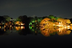 六義園ライトアップ