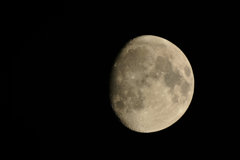 DSC_2373-R-0