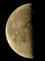 halfmoon