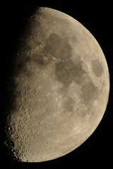 DSC_2863-R-2
