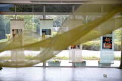 風に棚引く草木染め