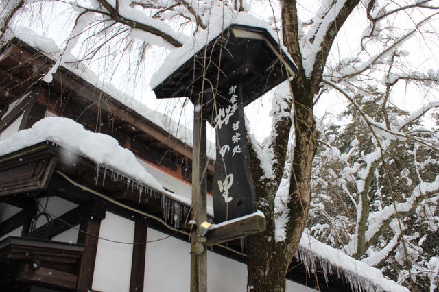 冬の枝垂れ桜