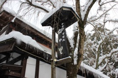 冬の枝垂れ桜