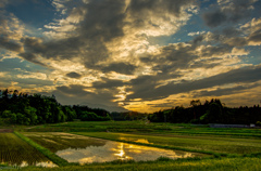 sunset