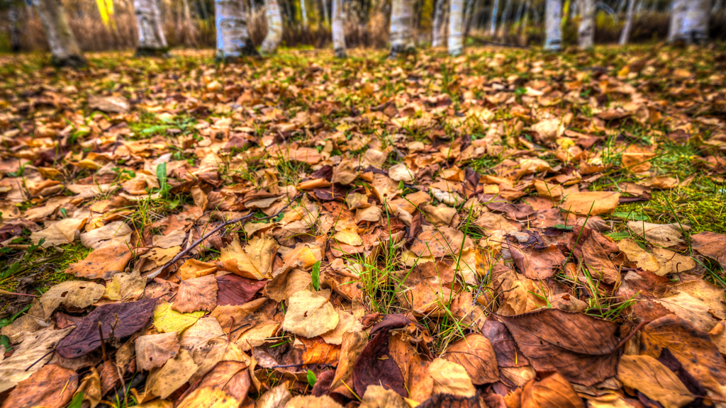 IMG_8895_-2_-3_tonemapped