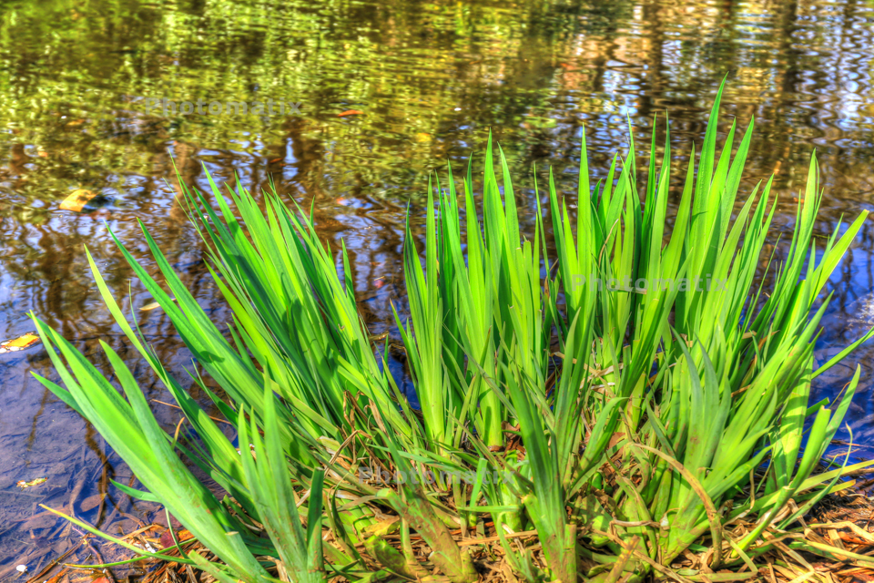IMG_9743_4_5_tonemapped