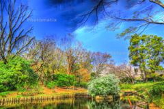 IMG_9737_8_9_tonemapped