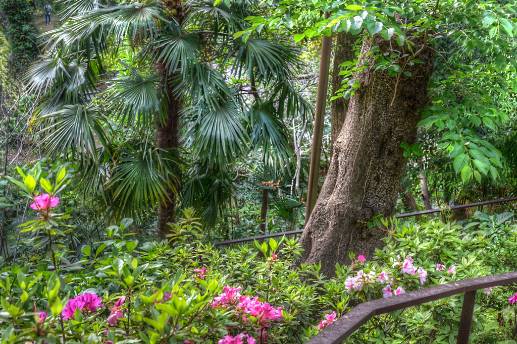 IMG_0409_-2_-3_-4_-5_tonemapped