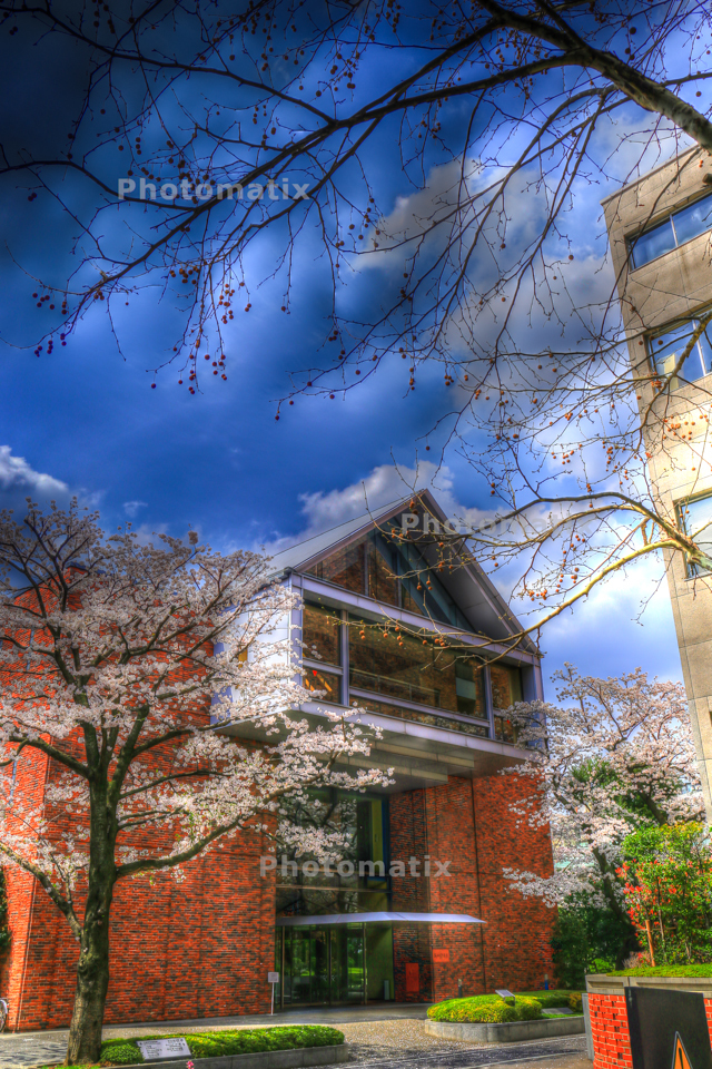 IMG_9903_4_5_tonemapped