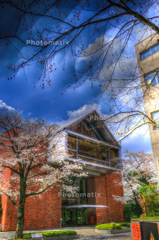 IMG_9903_4_5_tonemapped