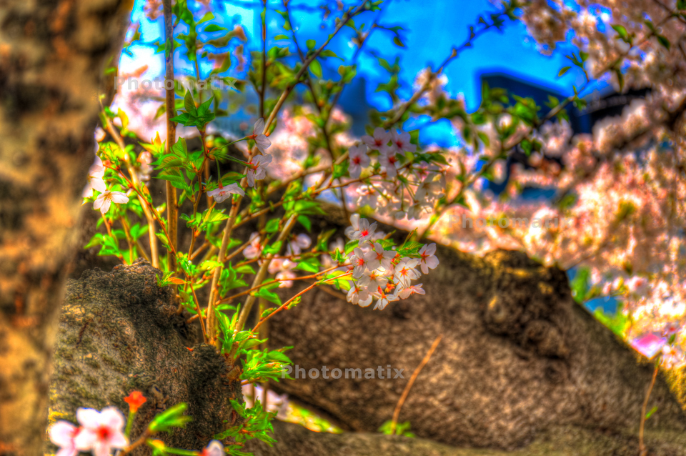 IMG_9828_29_30_tonemapped