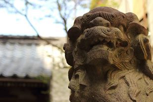 998356_199054763587060_138379759_n