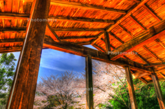 IMG_9719_20_21_tonemapped