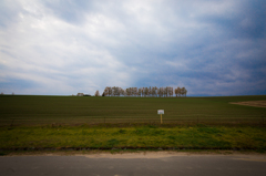 IMG_8873
