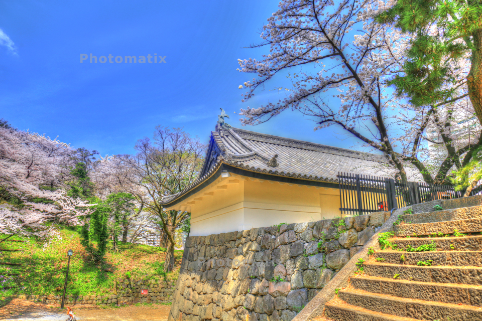IMG_9812_3_4_tonemapped