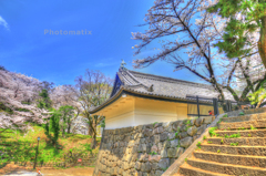 IMG_9812_3_4_tonemapped