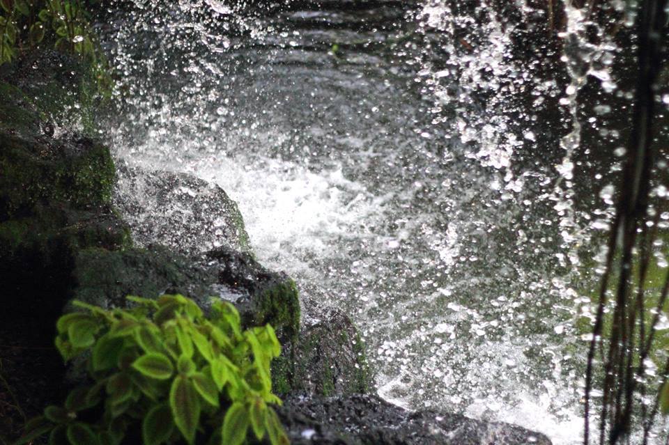 944523_204642379694965_727516967_n