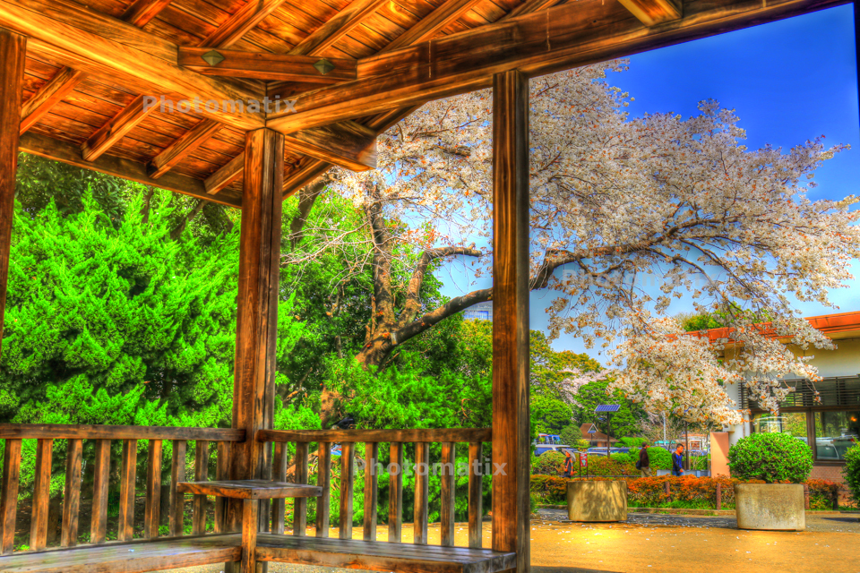 IMG_9734_5_6_tonemapped