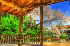 IMG_9734_5_6_tonemapped