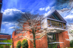 IMG_9900_1_2_tonemapped