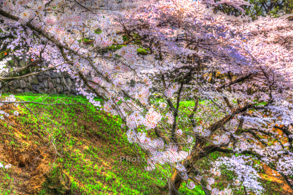 IMG_9701_2_3_tonemapped
