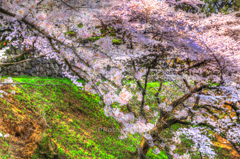 IMG_9701_2_3_tonemapped