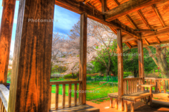 IMG_9713_4_5_tonemapped