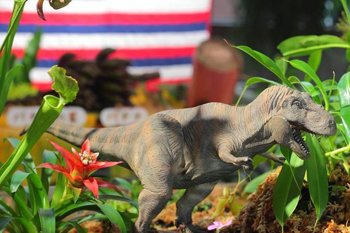 1069809_204642273028309_817267396_n