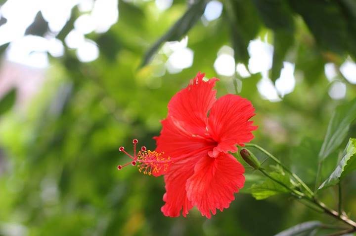 63601_204642323028304_1236260221_n