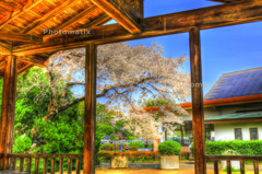 IMG_9731_2_3_tonemapped